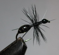 ���� Ant flies ������� ANT 01 ( Black  EPOXY) Kumho dry � 10